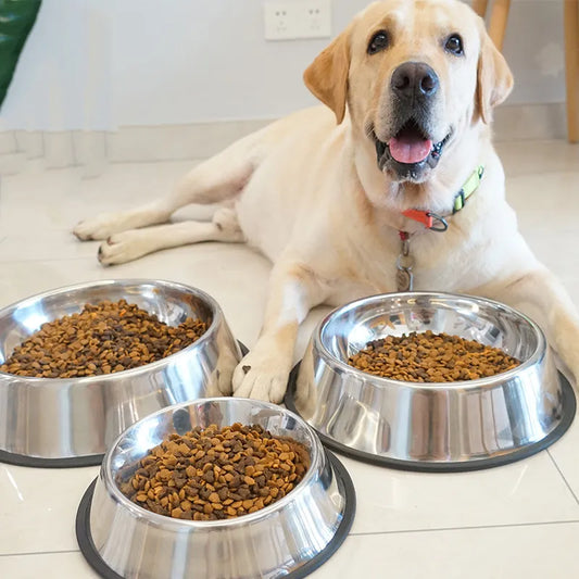 Cuenco comedero metálico para perro